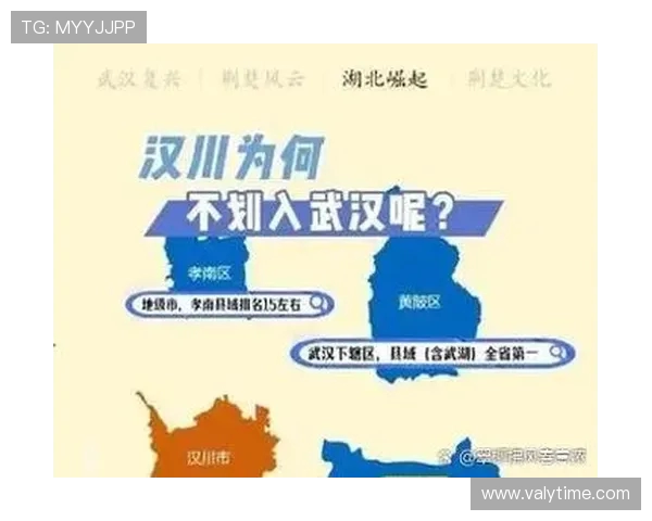 武汉三镇融合发展战略：打造新时代城市核心区的经济与文化新高地